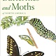 PETERSON FIRST GUIDE TO BUTTERFLIES AND MOTHS