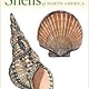 PETERSON FIRST GUIDE TO SHELLS OF NORTH AMERICA