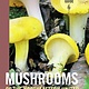 MUSHROOMS OF THE NORTHEASTERN US AND EASTERN CANADA