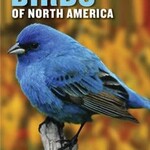 NATIONAL WILDLIFE FEDERATION FIELD GUIDE TO BIRDS OF NA