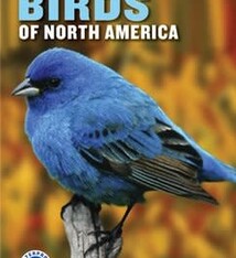 NATIONAL WILDLIFE FEDERATION FIELD GUIDE TO BIRDS OF NA