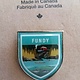 Parks Canada Vintage Lapel Pin