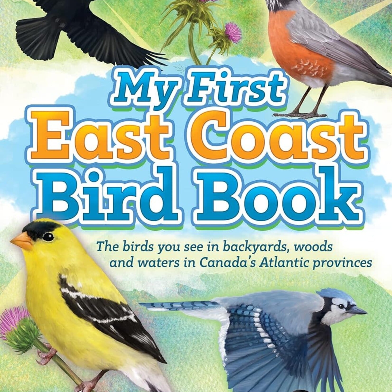 MY FIRST EAST COAST BIRD BOOK