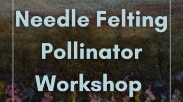 Needle Felting Workshop