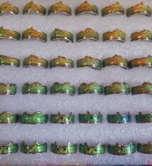 Mood Ring Animal Band