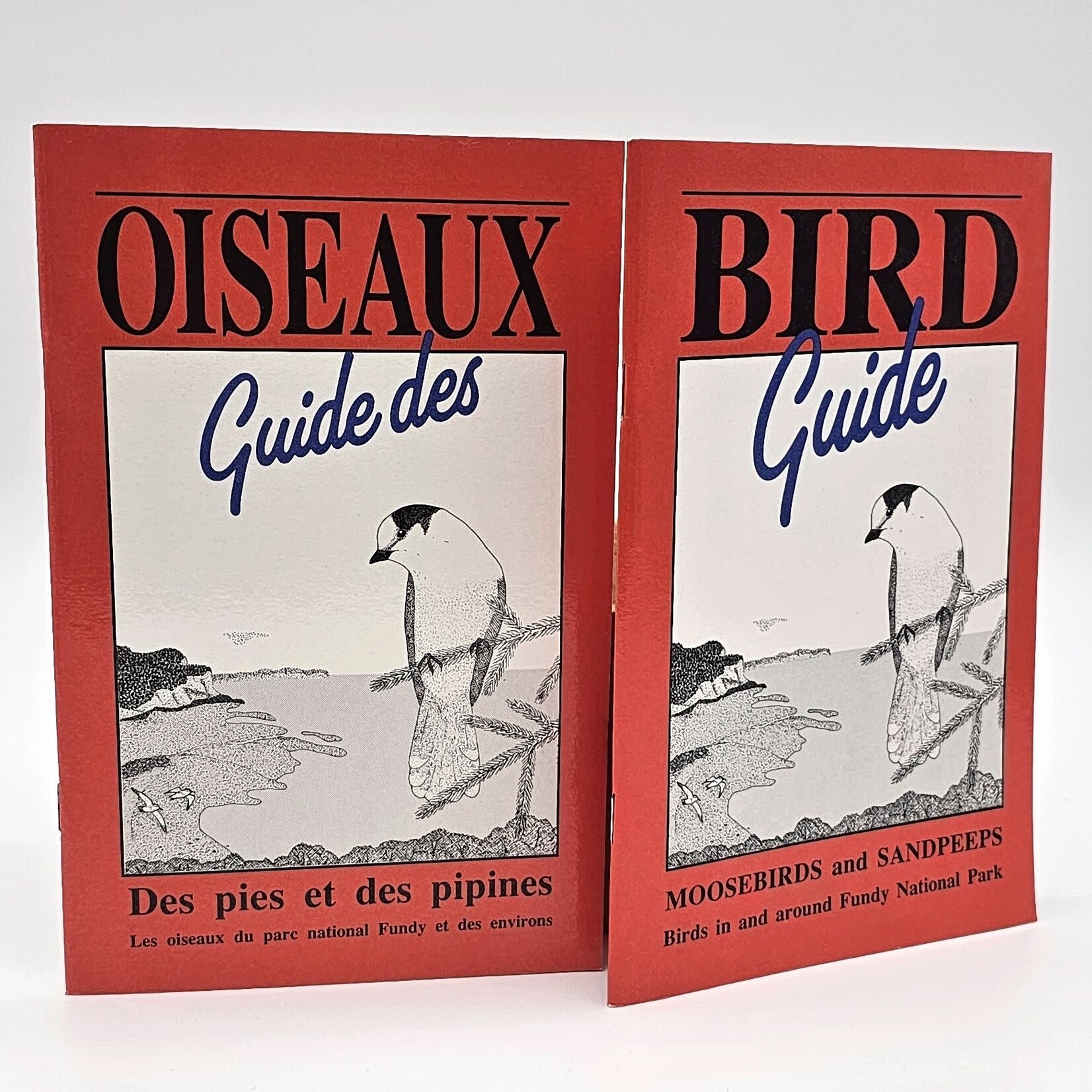 OISEAUX GUIDE DES