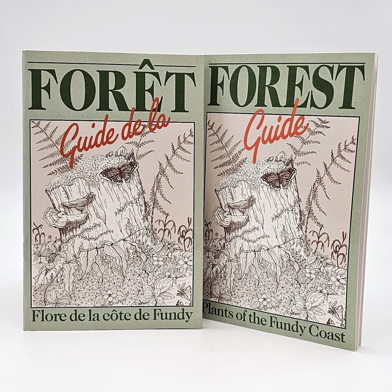 FOREST GUIDE