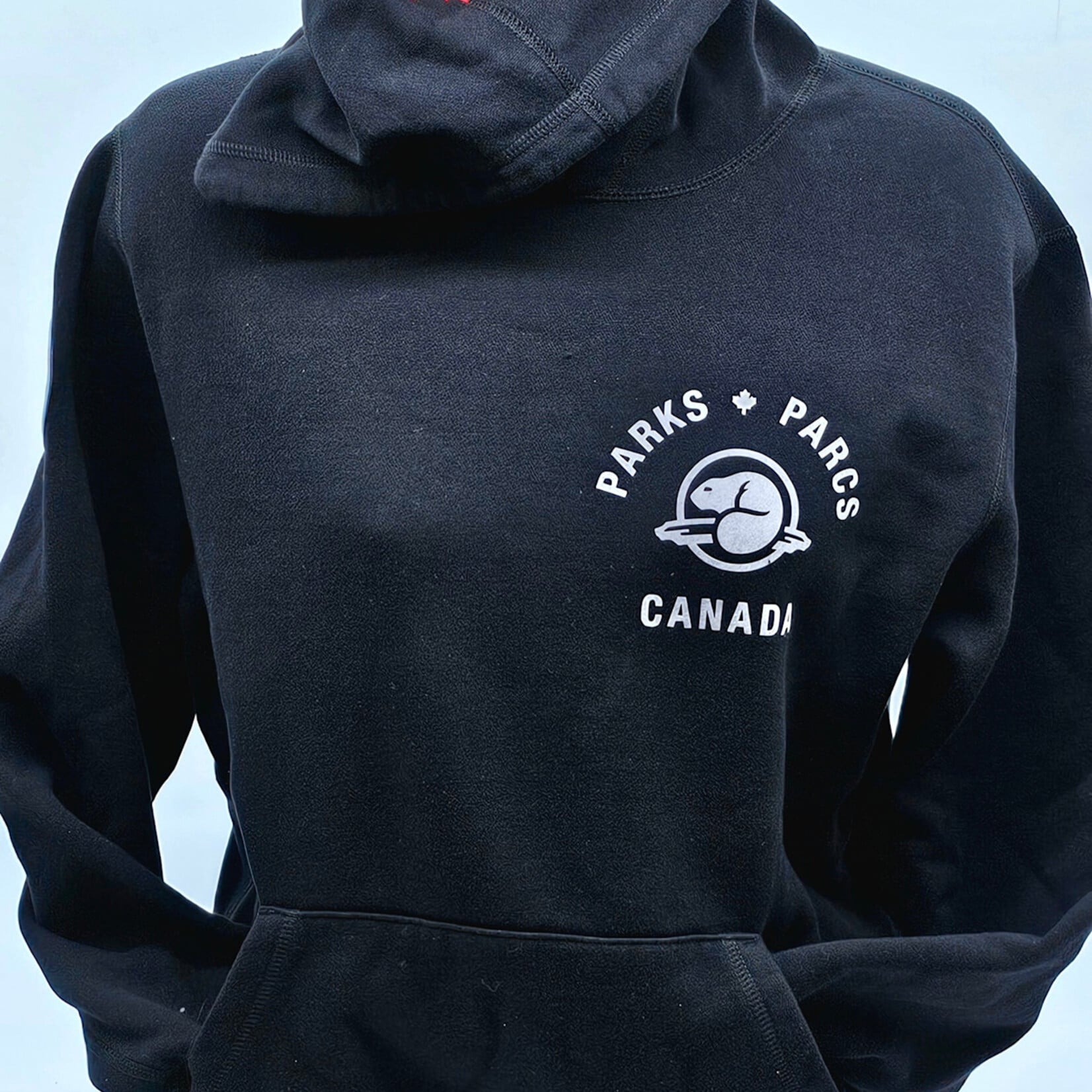 Adt Hoodie Parks Canada
