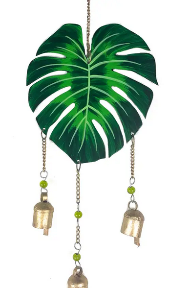 philodendron rio vs brasil Philodendron Rio (WP058) – Wilderly