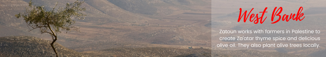 West Bank: Zatoun works with farmers in Palestine to create Za'atar thyme spice and delicious olive oil. They also plant olive trees locally. (Picture features some desert hills with a lone tree in the foreground.)