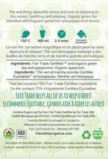 Tea Moroccan Mint Sachets Twin Pack Friendship Organics