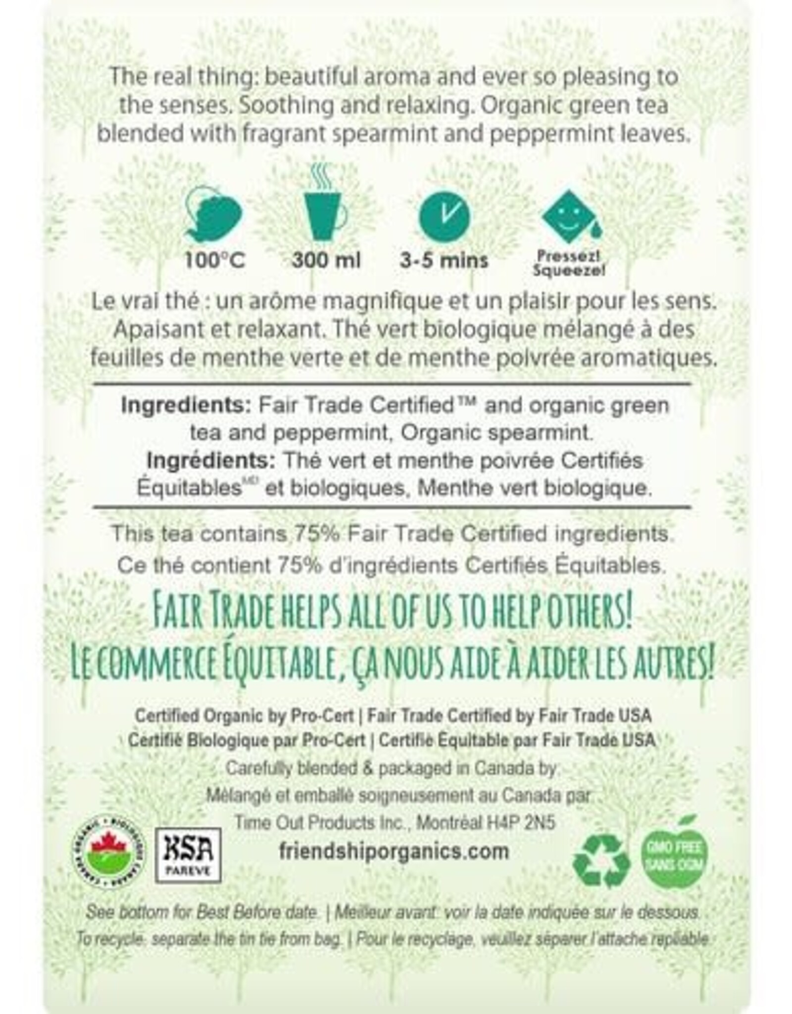 Tea Moroccan Mint Sachets Twin Pack Friendship Organics