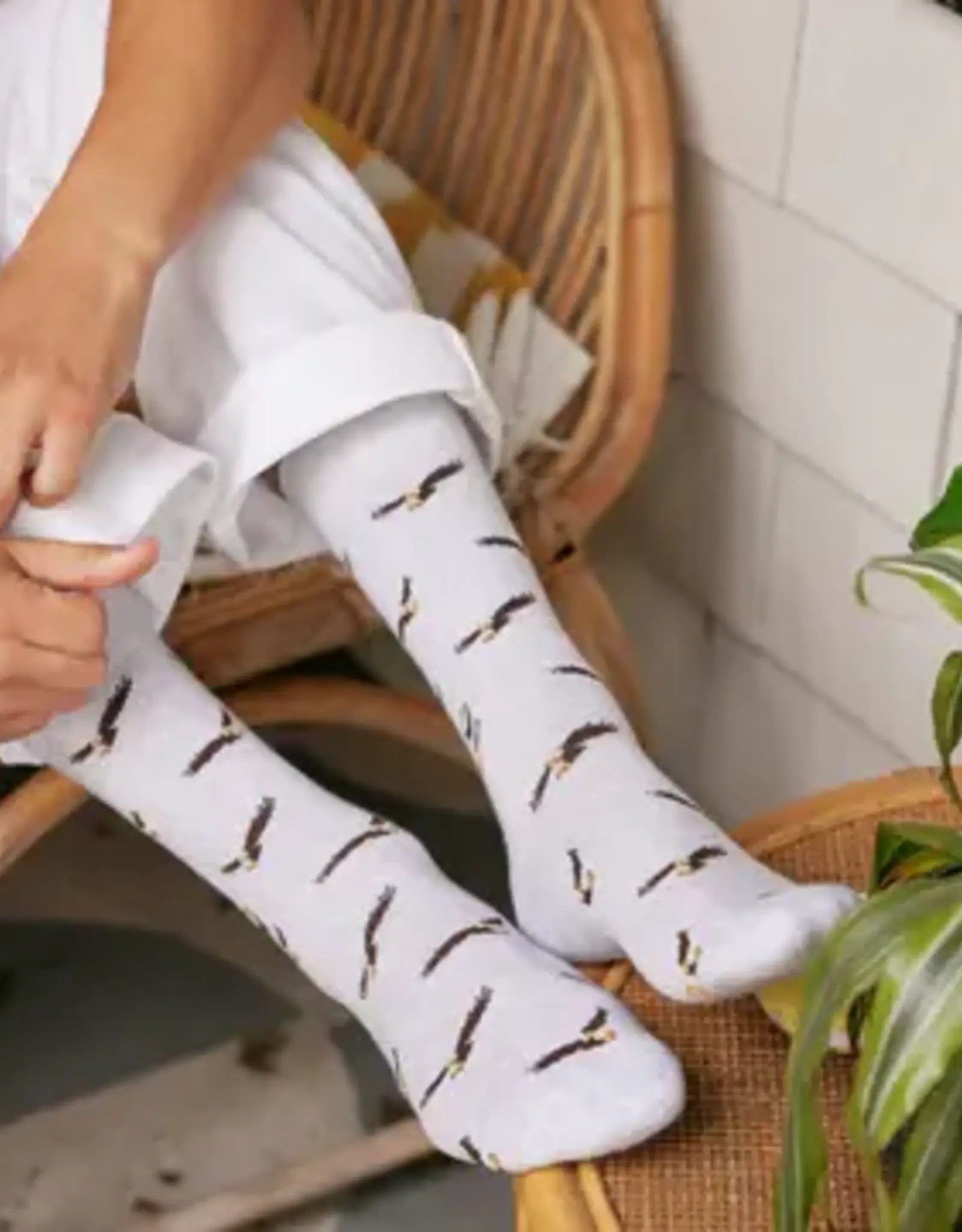 India Socks That Protect Bald Eagles M -India