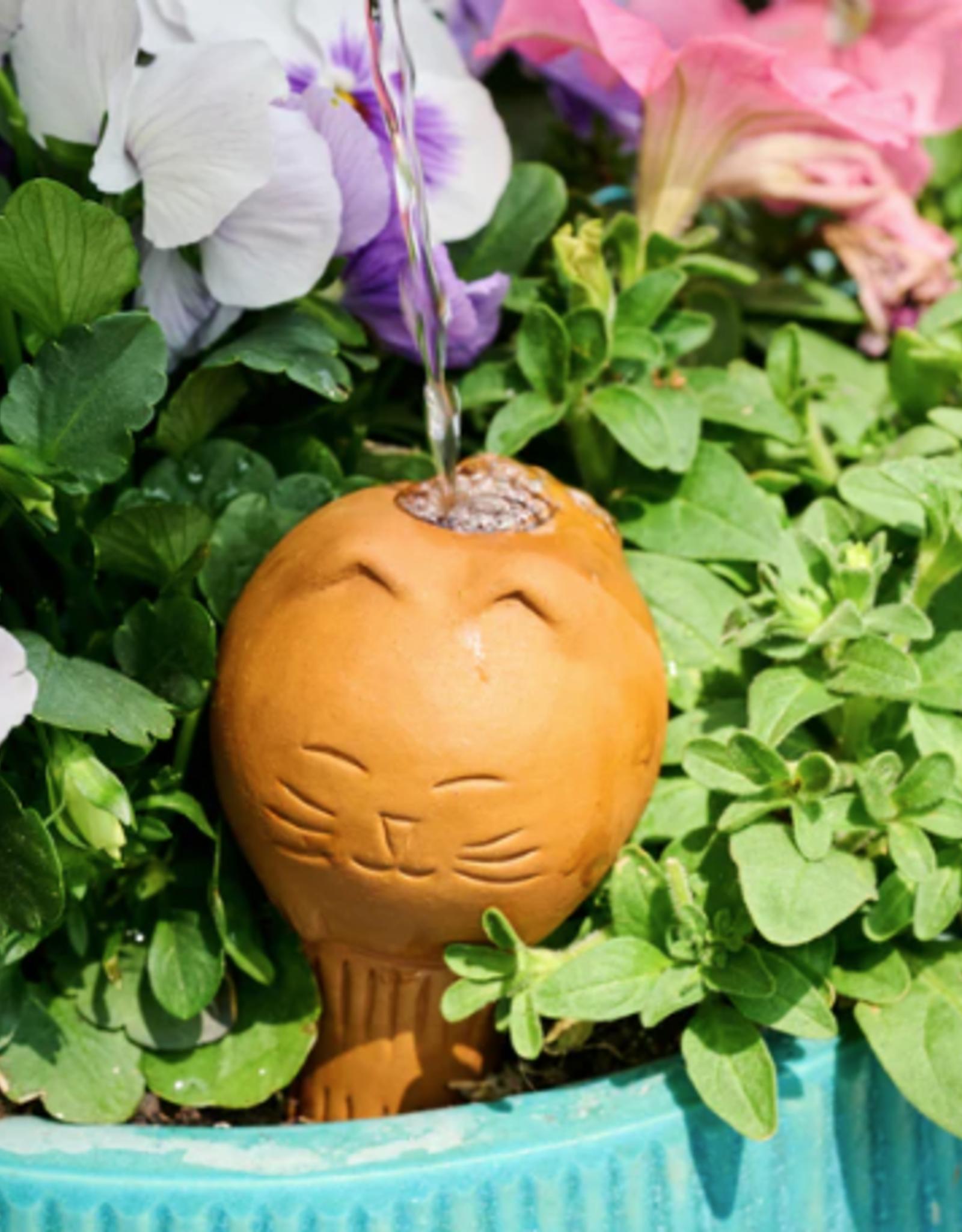 Bangladesh Cat Self Watering Plant Pet - Bangladesh