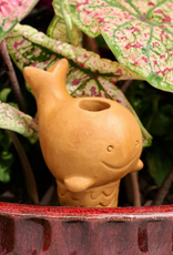 Bangladesh Whale Self Watering Plant Pet - Bangladesh