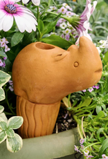 Bangladesh Rhino Self Watering Plant Pet - Bangladesh
