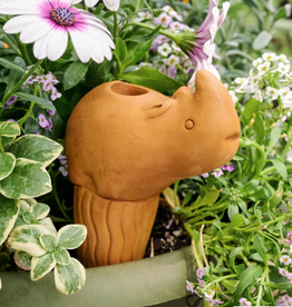 Bangladesh Rhino Self Watering Plant Pet - Bangladesh