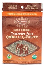Cardaman Seed Organic  20g - Honduras