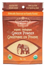 India Ginger Powder Organic - 40g - India