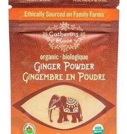 India Ginger Powder Organic - 40g - India