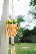 Asia Plant Hanger Dignity Mustard - Asia