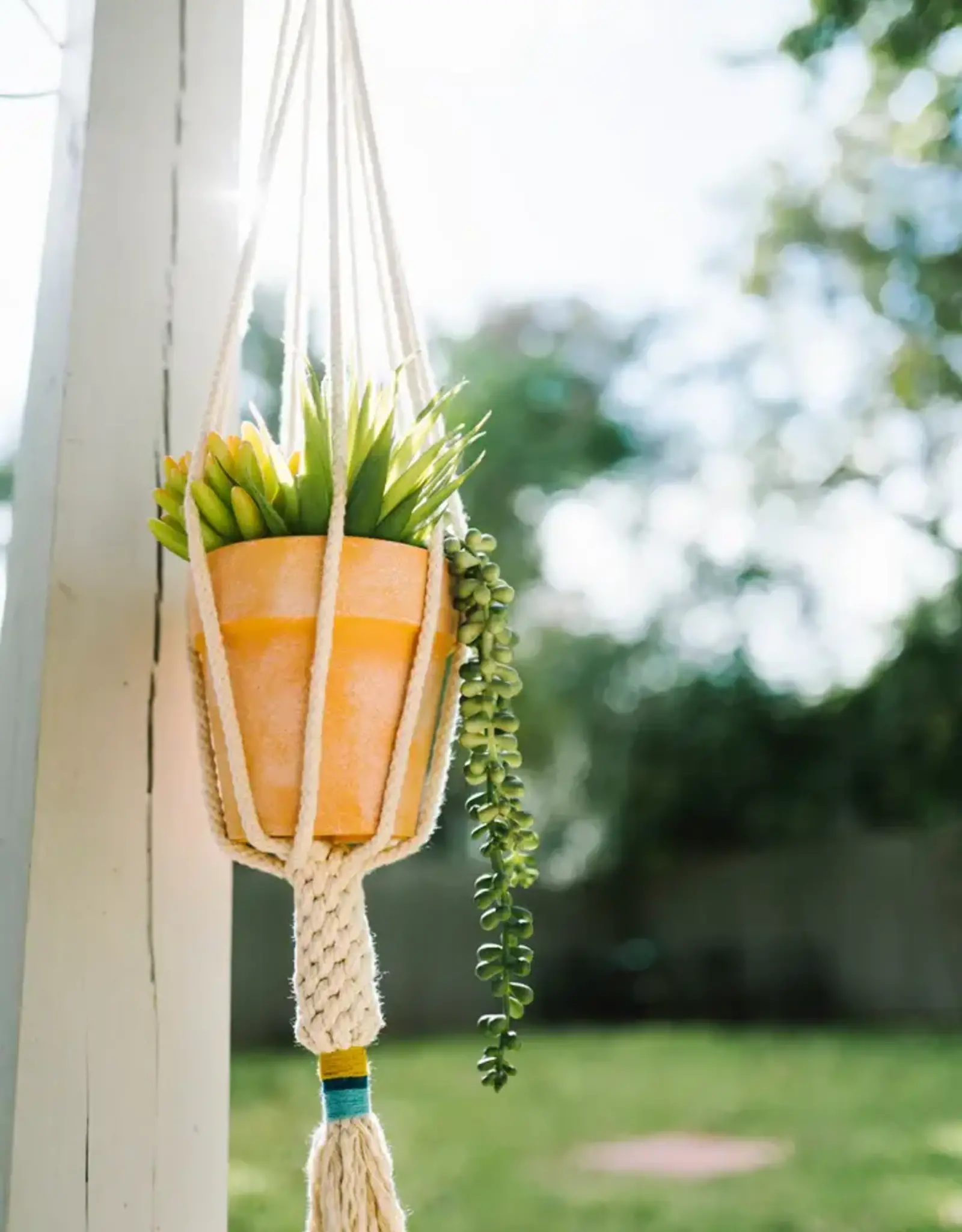 Asia Plant Hanger Dignity Mustard - Asia
