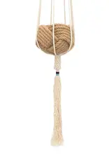 China Plant Hanger Dignity Blush - China