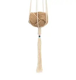Asia Plant Hanger Dignity Blush - Asia