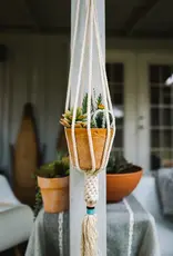 China Plant Hanger Dignity Blush - China