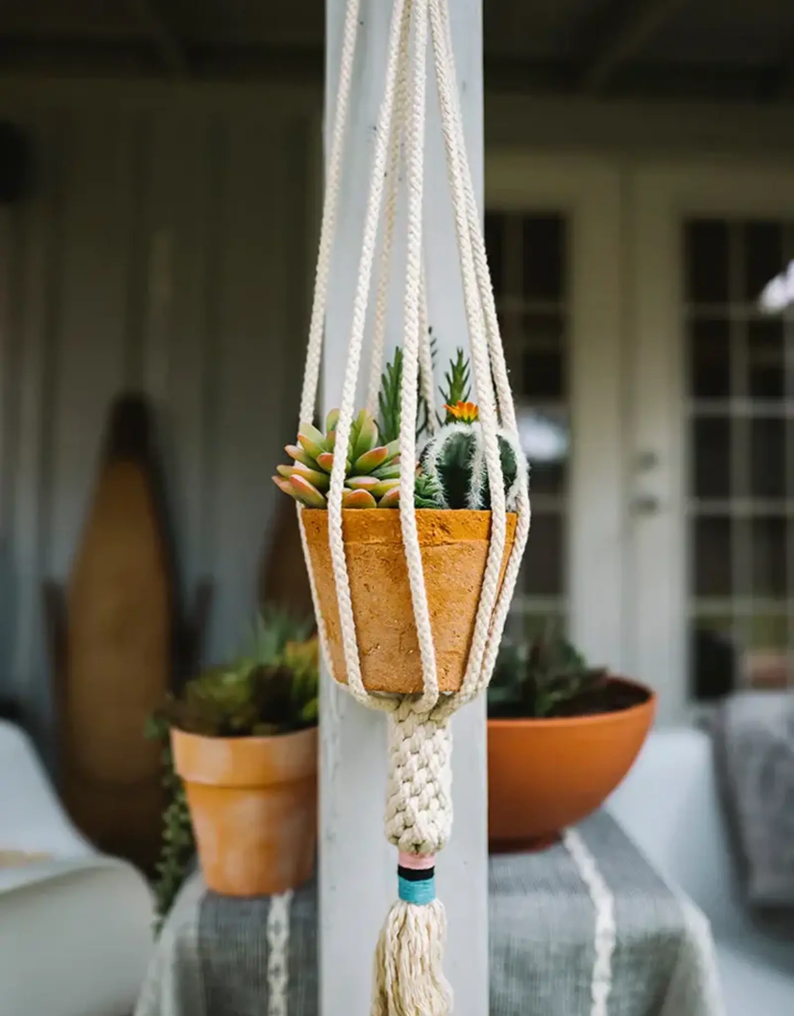 Asia Plant Hanger Dignity Blush - Asia