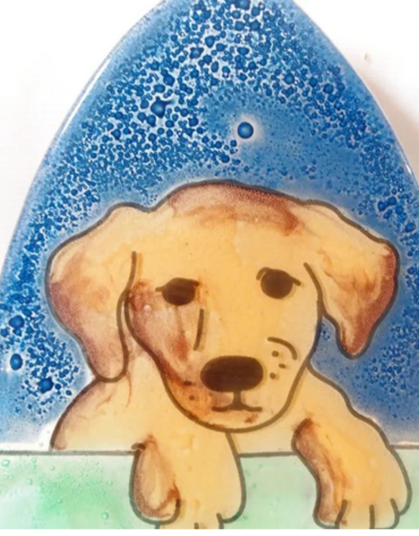 Ecuador Night Light Puppy