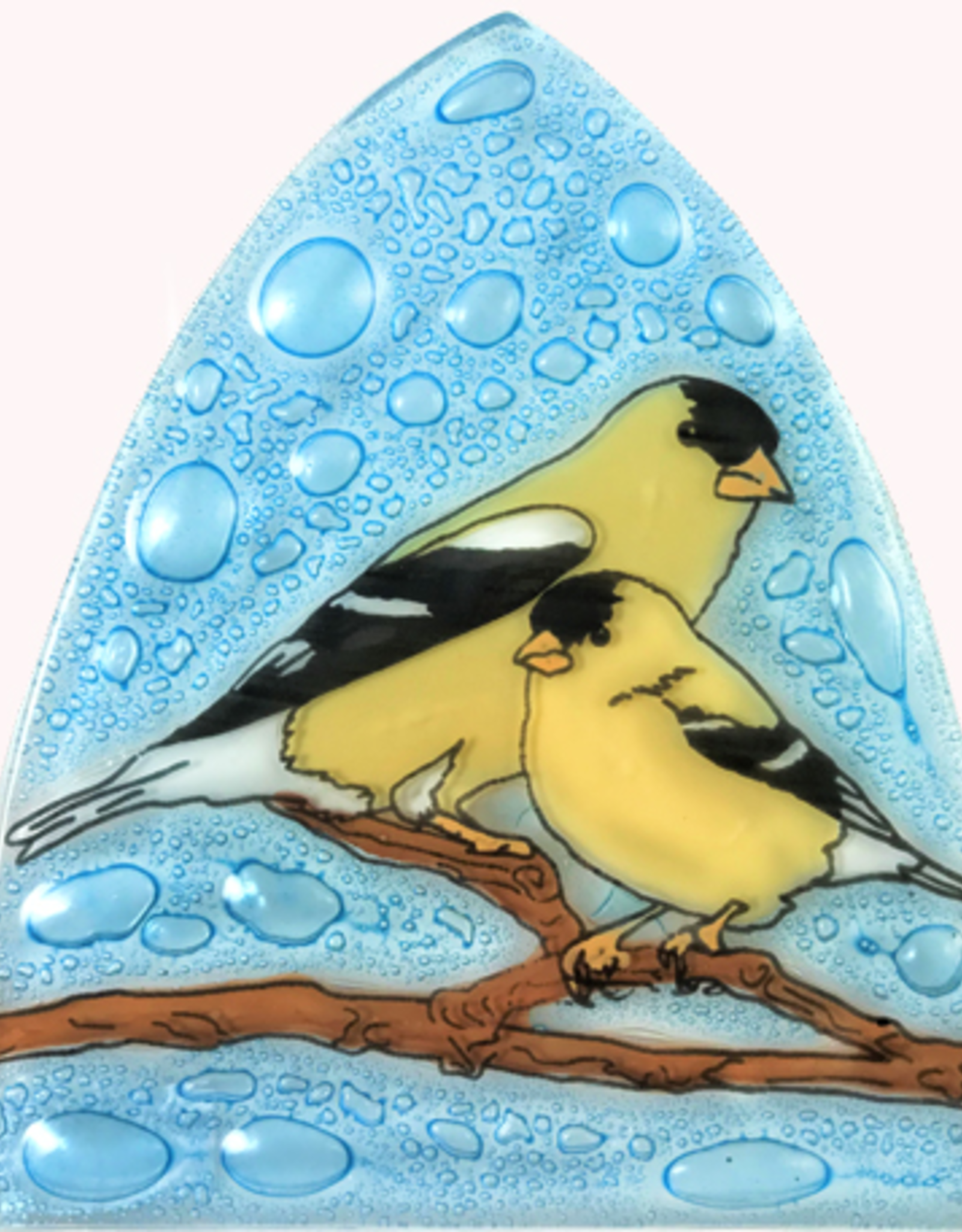 Ecuador Night Light Goldfinch