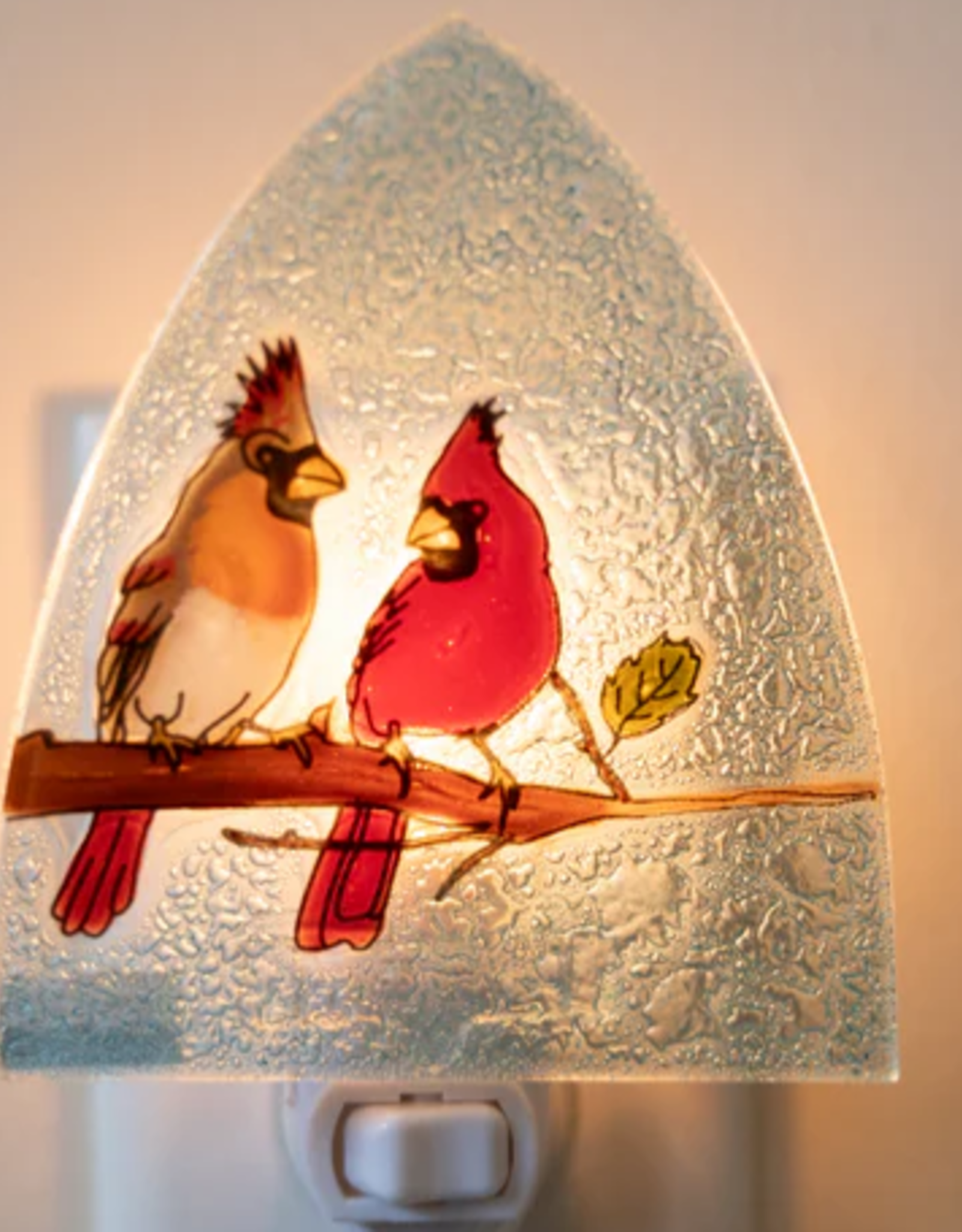 Ecuador Night Light Cardinal Couple