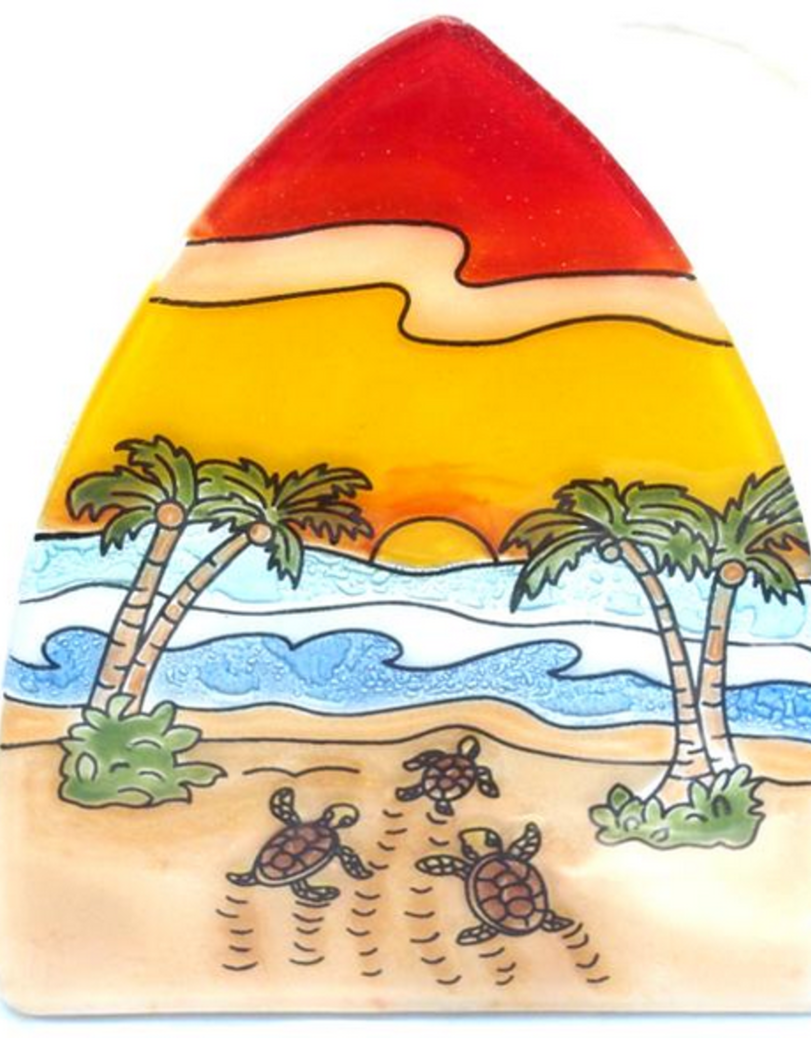 Ecuador Night Light Hatching Turtles