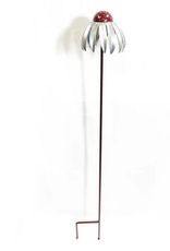 India Garden Stake Echinacea - India