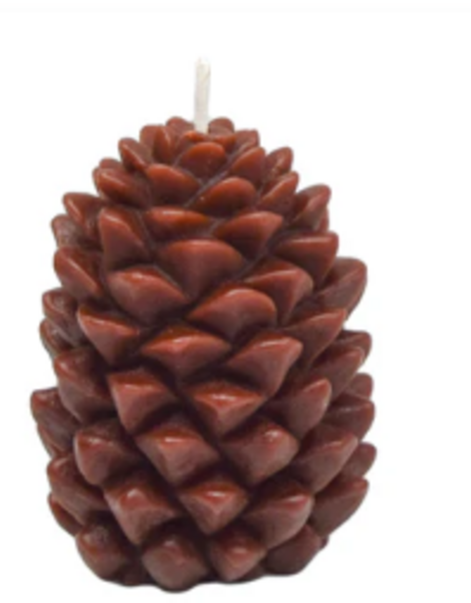 Canada Candle Ponderosa Pine Cone brown  - Canada