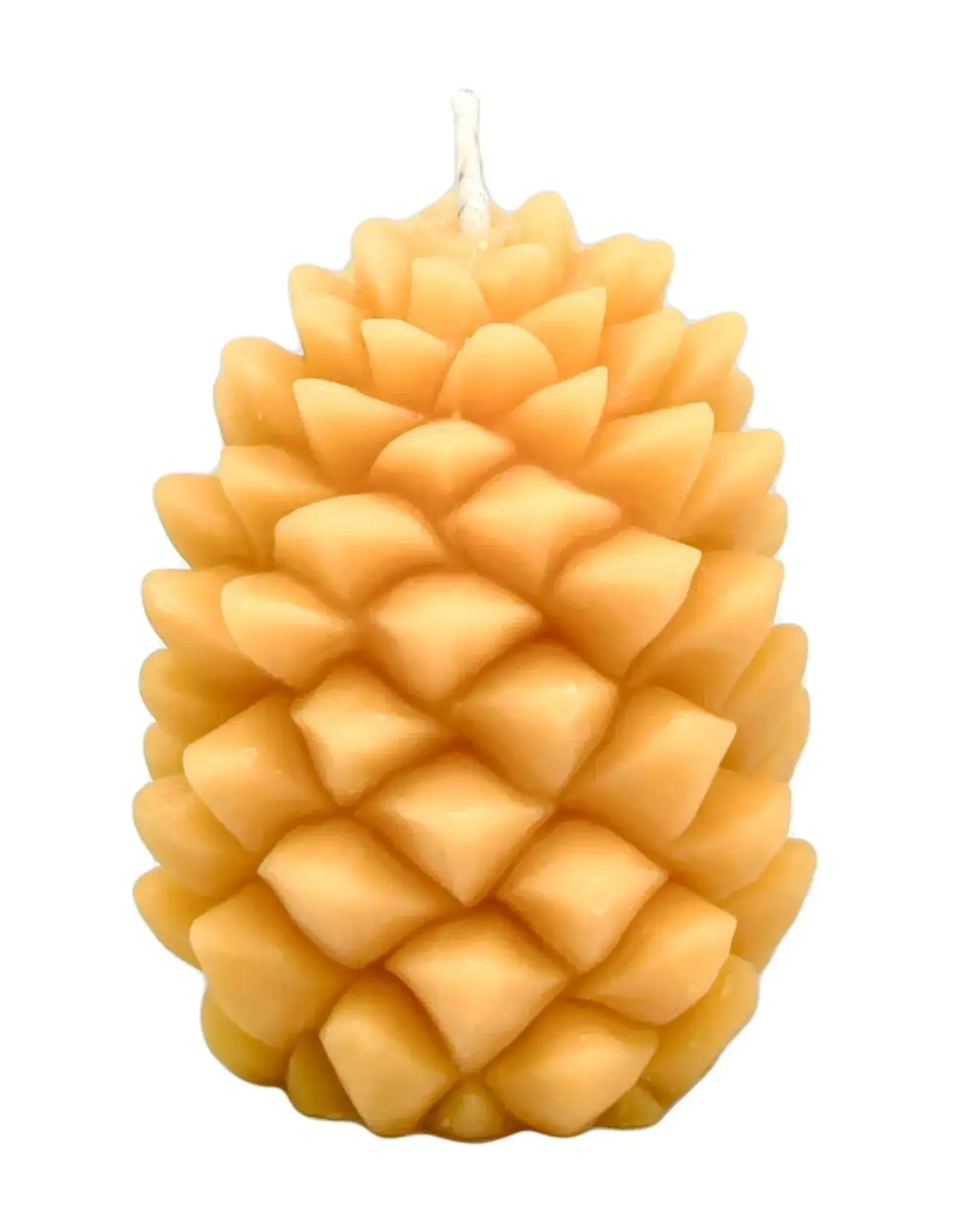 Canada Candle Ponderosa Pine Cone Natural - Canada