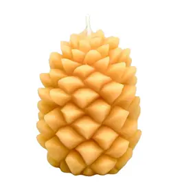 Canada Candle Ponderosa Pine Cone Natural - Canada