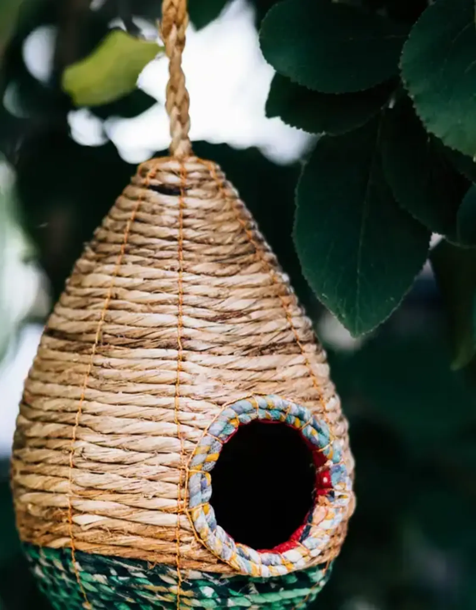 Bangladesh Birdhouse Teardrop Sari - Bangladesh