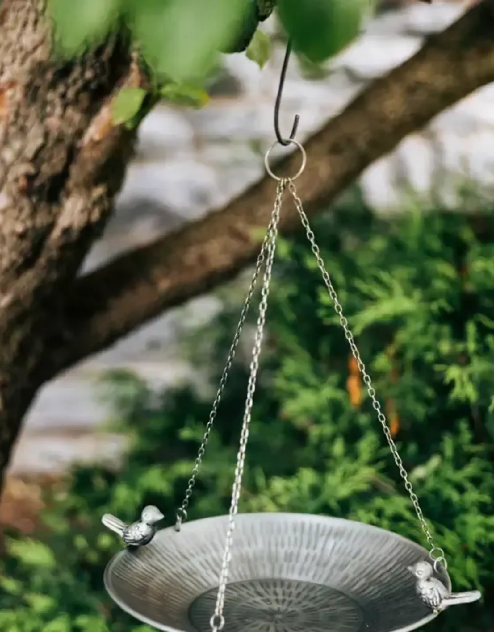 India Bird Feeder Clear Skies - India