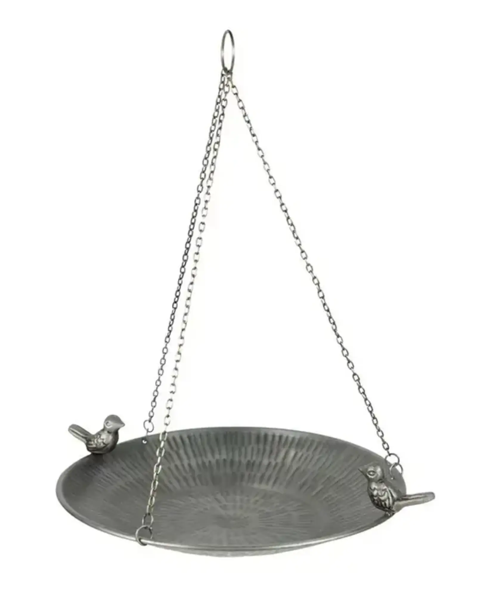 India Bird Feeder Clear Skies - India