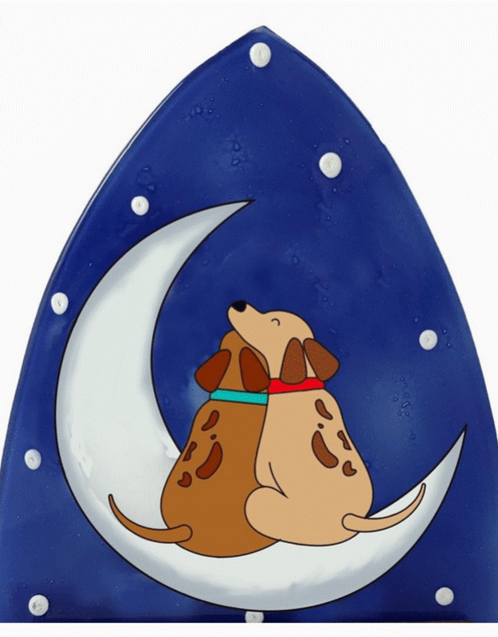 Ecuador Night Light Dogs on the Moon - Ecuador