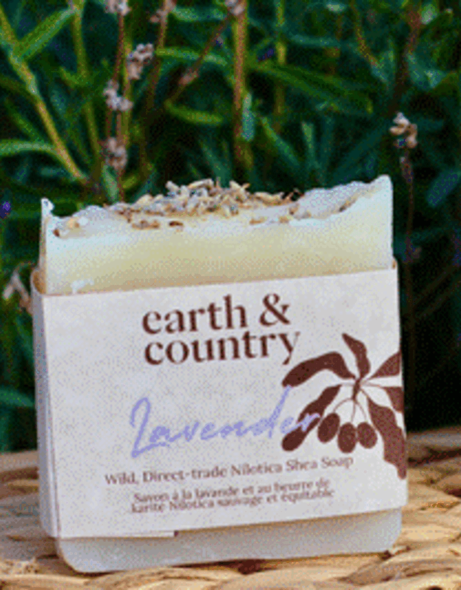 Uganda Nilotica Shea Butter Soap Lavender - Uganda