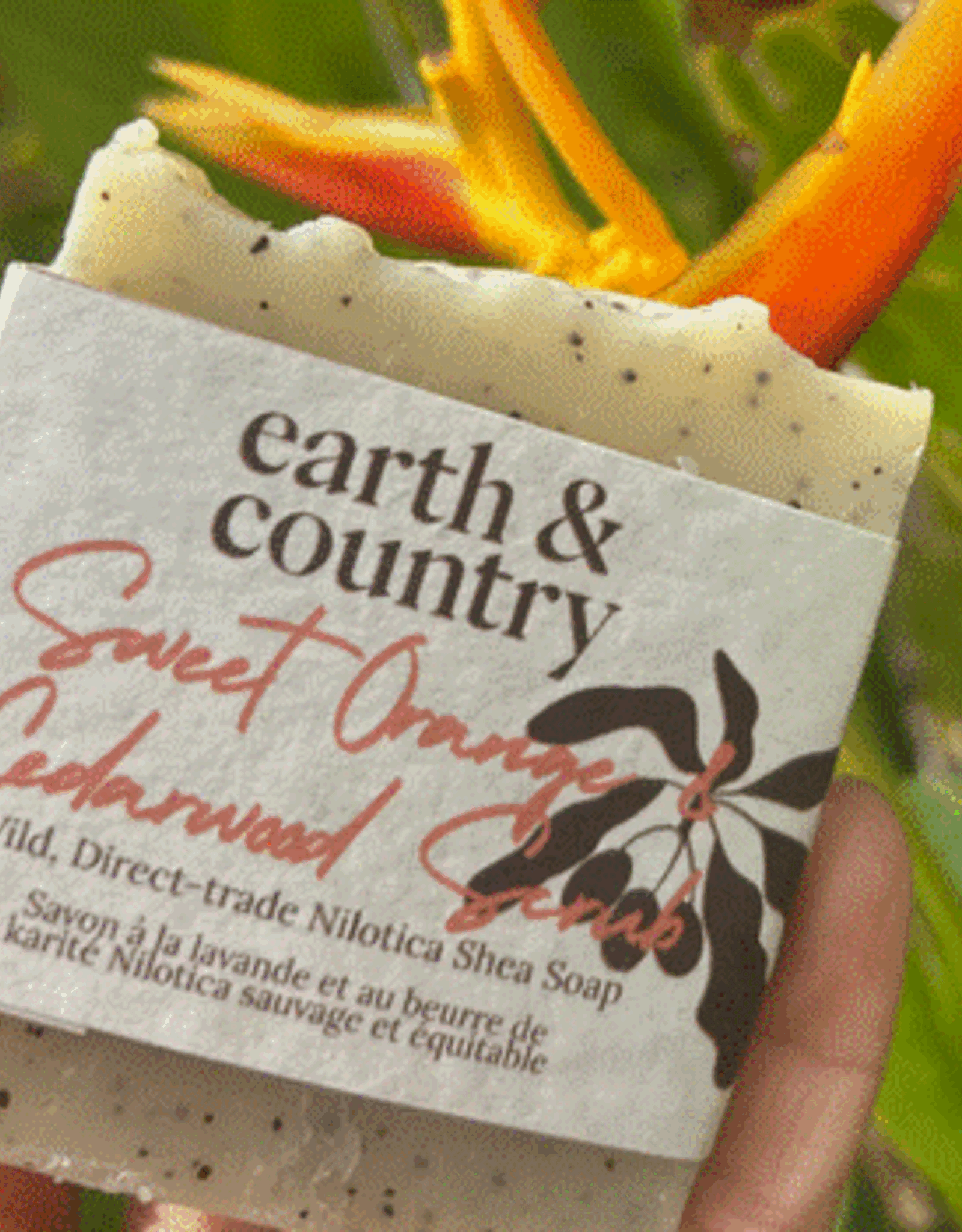 Uganda Nilotica Shea Butter Soap Sweet Orange and Cedarwood Scrub - Uganda
