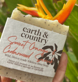 Uganda Nilotica Shea Butter Soap Sweet Orange and Cedarwood Scrub - Uganda