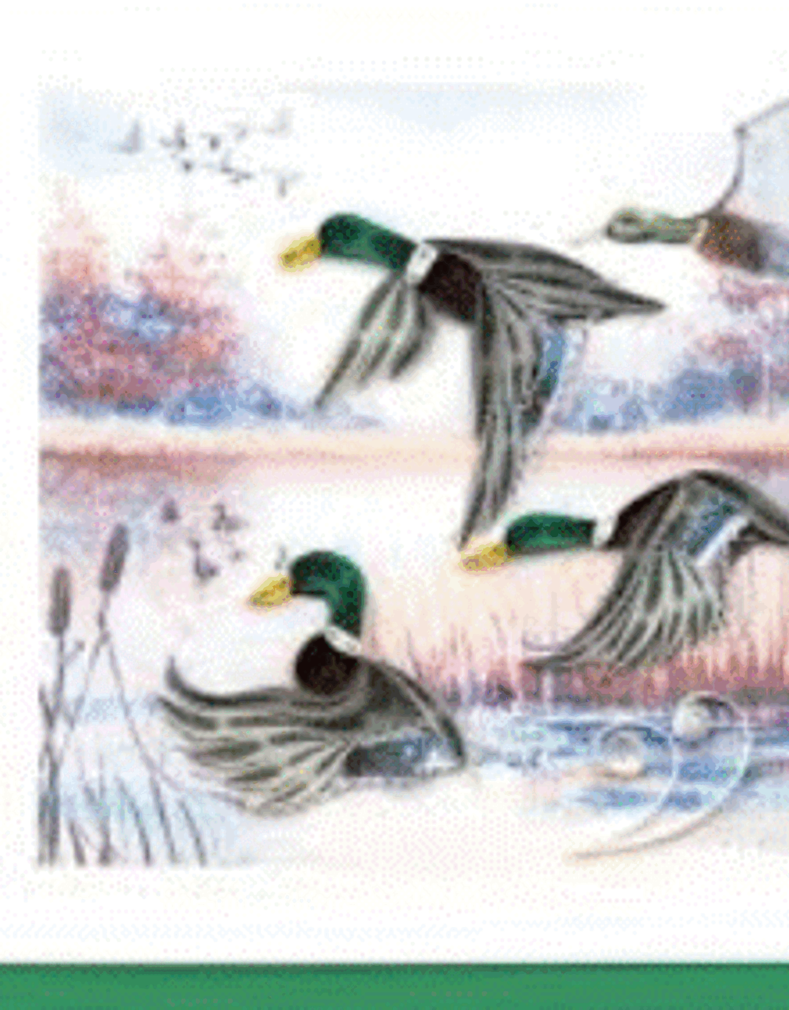 Vietnam Quilling Card Duck Migration - Vietnam
