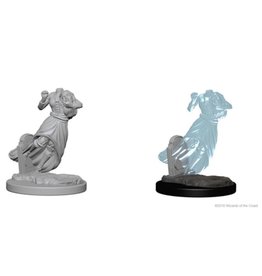 WizKids D&D Nolzur's MUM: Ghost & Banshee