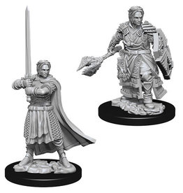 WizKids D&D Nolzur's MUM: W8 Male Human Cleric