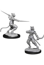 WizKids D&D Nolzur's MUM: Male Tabaxi Rogue W7