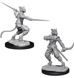 WizKids D&D NMU: Male Tabaxi Rogue W7